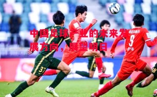 易胜博体育-中国足球产业的未来发展方向，展望明日