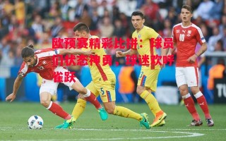 ysbSPORTS-欧预赛精彩比拼：球员们状态神勇，球迷欢呼雀跃
