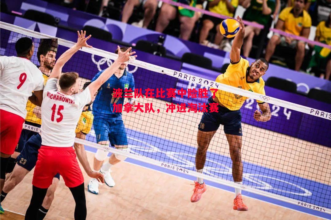 ysbSPORTS-波兰队在比赛中险胜了加拿大队,冲进淘汰赛-第1张图片-易胜博体育 ysbSPORTS-波兰队在比赛中险胜了加拿大队,冲进淘汰赛-第1张图片-易胜博体育