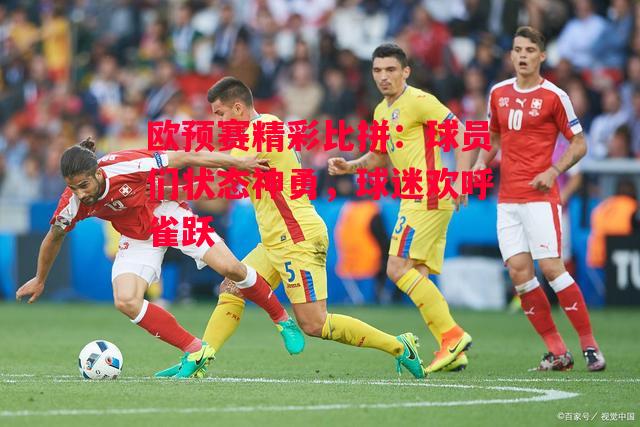 ysbSPORTS-欧预赛精彩比拼:球员们状态神勇,球迷欢呼雀跃-第1张图片-易胜博体育 ysbSPORTS-欧预赛精彩比拼:球员们状态神勇,球迷欢呼雀跃-第1张图片-易胜博体育