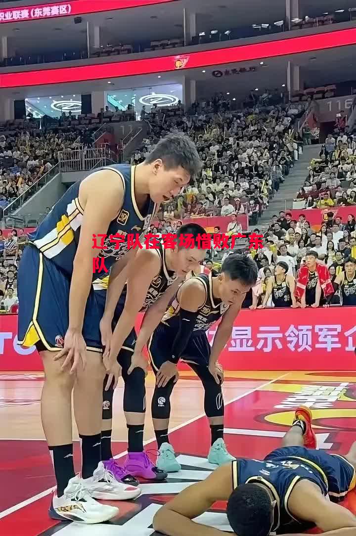 ysbSPORTS-辽宁队在客场惜败广东队-第2张图片-易胜博体育 ysbSPORTS-辽宁队在客场惜败广东队-第2张图片-易胜博体育