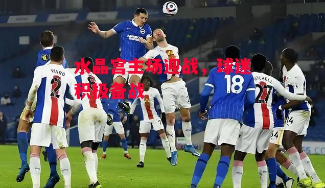 易胜博体育官方网站-水晶宫主场迎战，球迷积极备战-第1张图片-易胜博体育