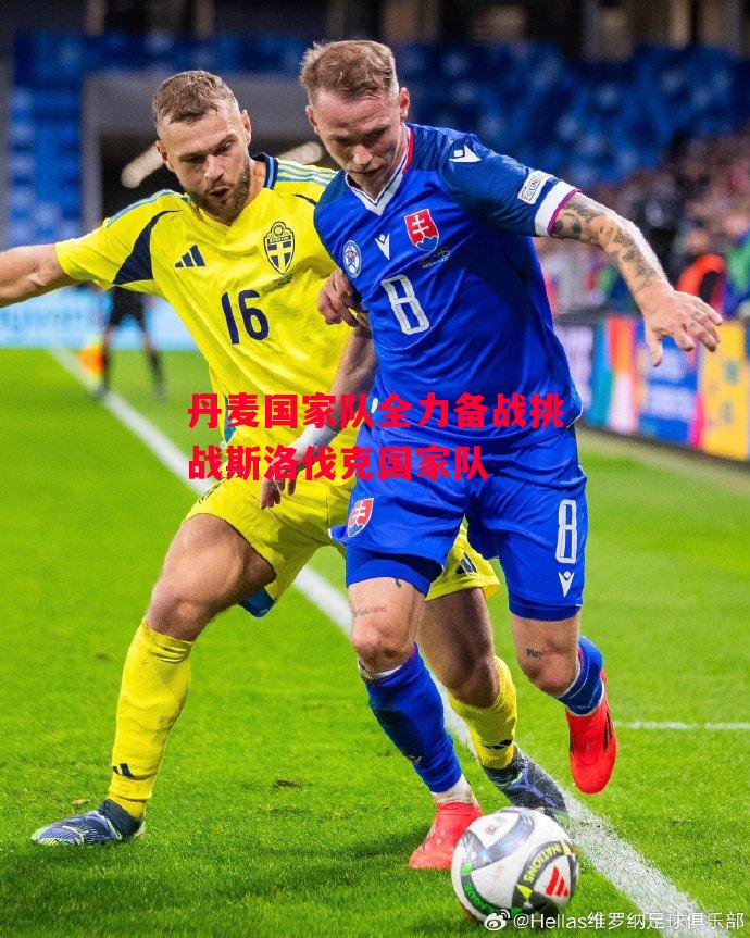 易胜博体育官方网站-丹麦国家队全力备战挑战斯洛伐克国家队-第1张图片-易胜博体育 易胜博体育官方网站-丹麦国家队全力备战挑战斯洛伐克国家队-第1张图片-易胜博体育