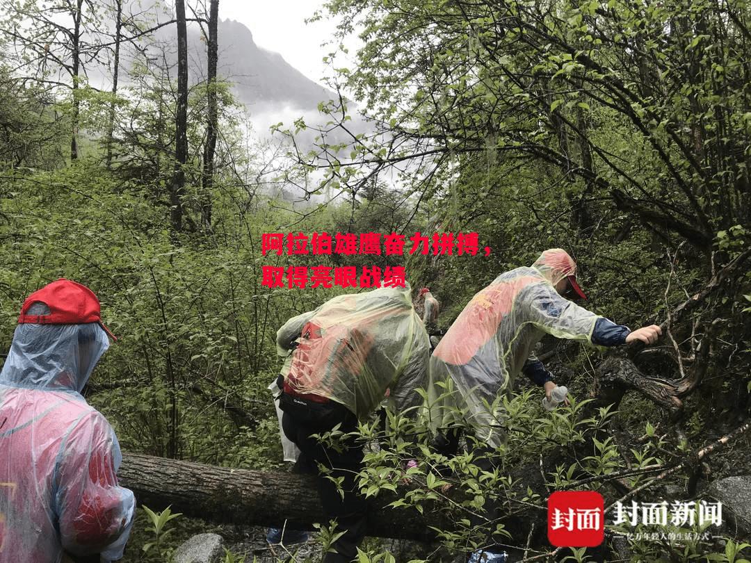 ysbSPORTS-阿拉伯雄鹰奋力拼搏,取得亮眼战绩-第2张图片-易胜博体育 ysbSPORTS-阿拉伯雄鹰奋力拼搏,取得亮眼战绩-第2张图片-易胜博体育