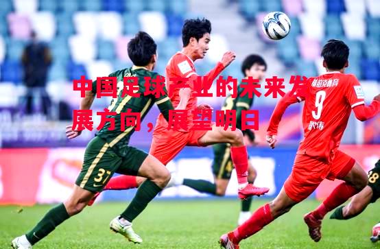 易胜博体育-中国足球产业的未来发展方向，展望明日-第1张图片-易胜博体育